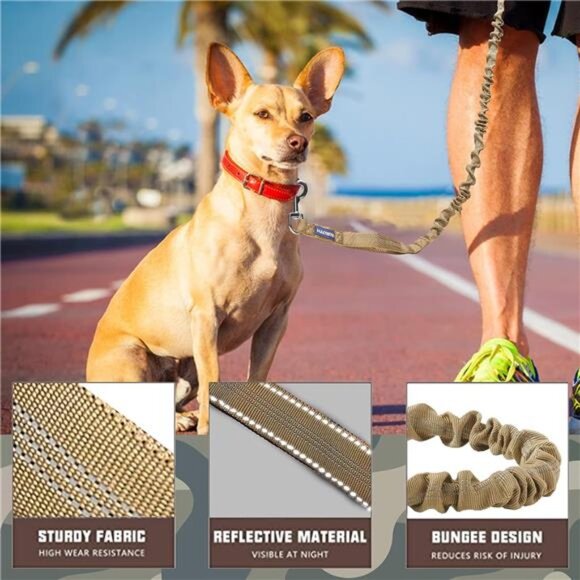 Dog Leash for Shock Absorption - Heavy Duty No Pull Training Leash for Medium - Picture 2 of 7